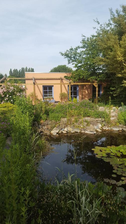 B&B La Clé du Sud Merelbeke Exterior foto